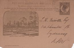 QUEENSLAND       ENTIER POSTAL/GANZSACHE/POSTAL STATIONARY CARTE ILLUSTREE DE BRISBANE - Covers & Documents