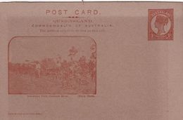 QUEENSLAND    ENTIER POSTAL/GANZSACHE/POSTAL STATIONARY CARTE ILLUSTREE - Briefe U. Dokumente