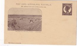 QUEENSLAND    ENTIER POSTAL/GANZSACHE/POSTAL STATIONARY CARTE ILLUSTREE - Lettres & Documents