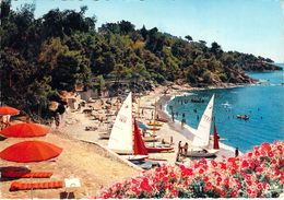 83 - Le Rayol - Un Coin De La Plage Depuis L'Hôtel Du Bailli De Suffren - Rayol-Canadel-sur-Mer