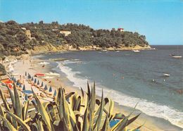 83 - Le Rayol Canadel Sur Mer - La Plage Du Canadel - Rayol-Canadel-sur-Mer