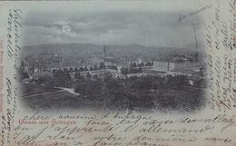 GRUSS AUS ZOFINGEN / CARTE A LA LUNE / CIRC 1899 - Zofingen