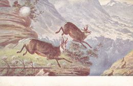 Jagd Chasse, Hunting. Steinbock Capricorn  Capricorne  Rösler Old Cpa. Ca. 1900 - Jagd