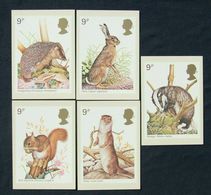 GB GREAT BRITAIN 1977 MINT PHQ CARDS BRITISH WILDLIFE ANIMALS NO. 25 HEDGEHOG BROWN HARE RED SQUIRREL OTTER BADGER - Cartes PHQ