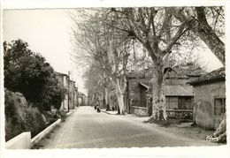 Carte Postale La Roquebrussanne - La Rue Du Portail - La Roquebrussanne