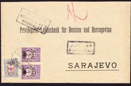 1917 Brief Aus Türkei An Die Landesbank Bosien Und Herzegovina. Zensurstempel Budapest Sowie Rückseitiger - Covers & Documents