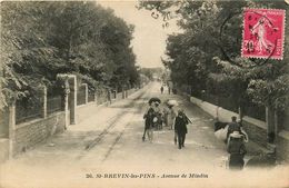 St Brévin Les Pins * Avenue De Mindin - Saint-Brevin-les-Pins