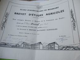 Diplôme Agricole/ Brevet D'Etudes Agricoles/Ecole D'Agriculture De NERMONT/Châteaudun/ E & L/JP DUVAL/ 1961 DIP230 - Diplômes & Bulletins Scolaires