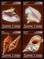 Sierra Leone. 2020 Shells. (0216c) OFFICIAL ISSUE - Coneshells