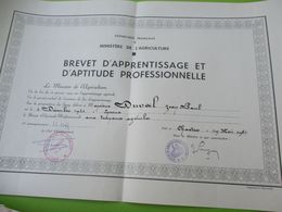 Diplôme Agricole/ Brevet D'Apprentissage /Ecole D'Agriculture De NERMONT/Châteaudun/ E & L/JP DUVAL/ 1961  DIP229 - Diploma's En Schoolrapporten