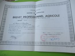 Diplôme Agricole/ Brevet Professionnel Agricole/ CERCA ANGERS/Mention Assez Bien /JP DUVAL/ 1965  DIP228 - Diploma & School Reports