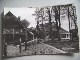 Nederland Holland Pays Bas Norg Bij Assen Met De Steeg In 1965 - Norg