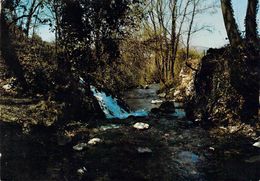 83 - Saint Zacharie - La Source Des Nayes - Saint-Zacharie