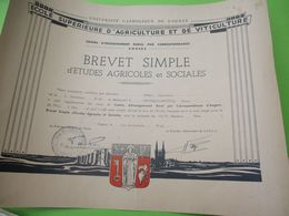 Université Catholique De L'Ouest/ Ecole Supérieure D'Agriculture Et De Viticulture/Brevet Simple /JP DUVAL/ 1964 DIP220 - Diplome Und Schulzeugnisse