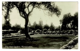 Ref 1381 - Real Photo Postcard - City Hall Gardens - Bloemfontein South Africa To London UK - Afrique Du Sud