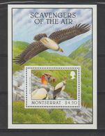 Montserrat 1997 Oiseaux BF 72 ** MNH - Montserrat