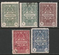 Turkey In Asia Sc J1-J5 Postage Due Set Used/MH - 1920-21 Anatolië