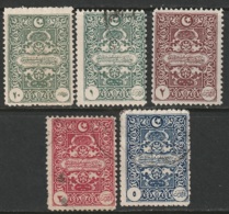Turkey In Asia Sc J1-J5 Postage Due Set Used/MH - 1920-21 Kleinasien