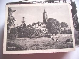 Nederland Holland Pays Bas Amerongen Panorama Dorp En Koeien - Amerongen