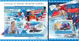 Salomon 2016, Winter Olympic Games In Sochi, Winners, Sking, 4val In BF +BF - Hiver 2014: Sotchi