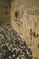 Cpm 10x15 JUDAICA  ISRAEL Edit. PALPHOT N°8107. Foule En Prières Au Mur Des Lamentations (Rare Vue Plongeante) - Jewish