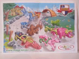 KINDER SURPRISE 2004/2005 : BPZ N° C45 - Instructions