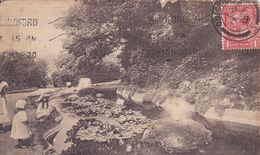 ENG34  ~~  GUILDFORD  --  CASTLE GROUNDS  -  FISH POND  --  1920 - Surrey