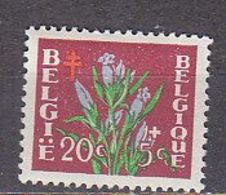 K6406 - BELGIE BELGIQUE Yv N°834 ** - Unused Stamps