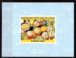 Congo-1985, Mi.1016-1020, Mushrooms, 5 Deluxe Sheets, MNH** - Pilze