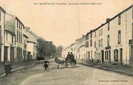 Montaigu * Avenue Villebois Mareuil * Attelage à âne * épicerie Mercerie - Montaigu