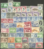 ADEN: Lot Of Mint (they Can Be Without Gum) Or Used Stamps, Most Of Fine Quality (a Few May Have Minor Defects). The Exp - Aden (1854-1963)