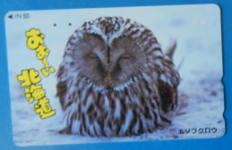 Japan Japon Owl  Eule  Hibou Buho Bird Uccello Aves Pajaro - Owls