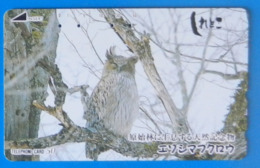Japan Japon Owl Eule Hibou Buho Bird Uccello Aves Pajaro - Eulenvögel