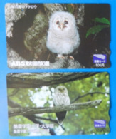 Japan Japon X2 Owl Eule Hibou Buho Bird Uccello Aves Pajaro - Eulenvögel