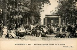 Montgéron * Avenue De Lagrange , Concert Sur La Pelouse - Montgeron