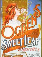 Carte Postale  Publicité   Cigarette  Ogden 's  Femme   Illustration  Reproduction - Fume-Cigarettes