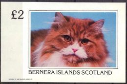 {B096} Cats I S/S 2,00 £ MNH** LABEL Cinderella !! - Fantasy Labels