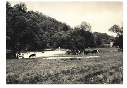 9381  LICHTENWALDE / ERZGEB.  - AN DER ZSCHOPAU   1967 - Zschopau