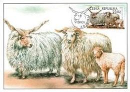 CM 1039 Czech Republic Nature Protection: Zoological Gardens IV 2019 Sheep - Autres