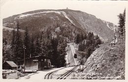 AK Schneeberg - Station Baumgartner Gegen Elisabethkircherl - 1971 (51083) - Schneeberggebiet