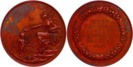Dresden, Bronzemedaille (Dm. 50,5 Mm, 49,05 G), 1887, Von C. Lauer, Auf Die 1. Internationale Gartenbauausstellung Dresd - Otros & Sin Clasificación