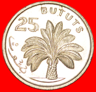 * PALM TREE: THE GAMBIA ★ 25 BUTUTS 1971 MINT LUSTER! LOW START★ NO RESERVE! - Gambia