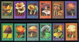 St. Vincent-1992, Mushrooms, Mi.2044-2055+Bl.218-220, SPECIMEN, MNH** - Pilze