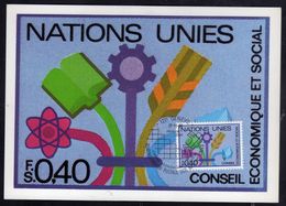 NATIONS UNIES GENEVE ONU UN UNO 21 11 1980 CONSEIL ECONOMIQUE ET SOCIAL ECONOMIC COUNCIL FDC MAXI CARD CARTOLINA MAXIMUM - Maximumkarten