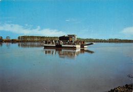 010747 "ROVIGO - PORTO TOLLE - IL TAGHETTO"  ANIMATA. CART  SPED 1975 - Rovigo