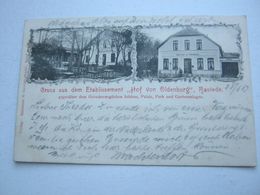 Ansichtskarte Aus  RASTEDE  1903 - Rastede