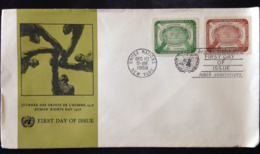 United Nations, Uncirculated FDC,  « HUMAN RIGHTS », 1958 - Storia Postale