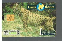 SPAGNA (SPAIN) - TELEFONICA  (CHIP) -  FAUNA IBERICA: LINX PARDINA       - USED - RIF. 10005 - Oerwoud