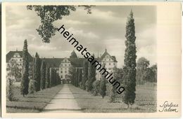 Salem - Schloss - Foto-Ansichtskarte - Verlag Lauterwasser Überlingen - Salem