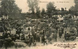 Machecoul * 1905 * Le Champ De Foire * Marché Aux Bestiaux * éditeur Dugas - Machecoul